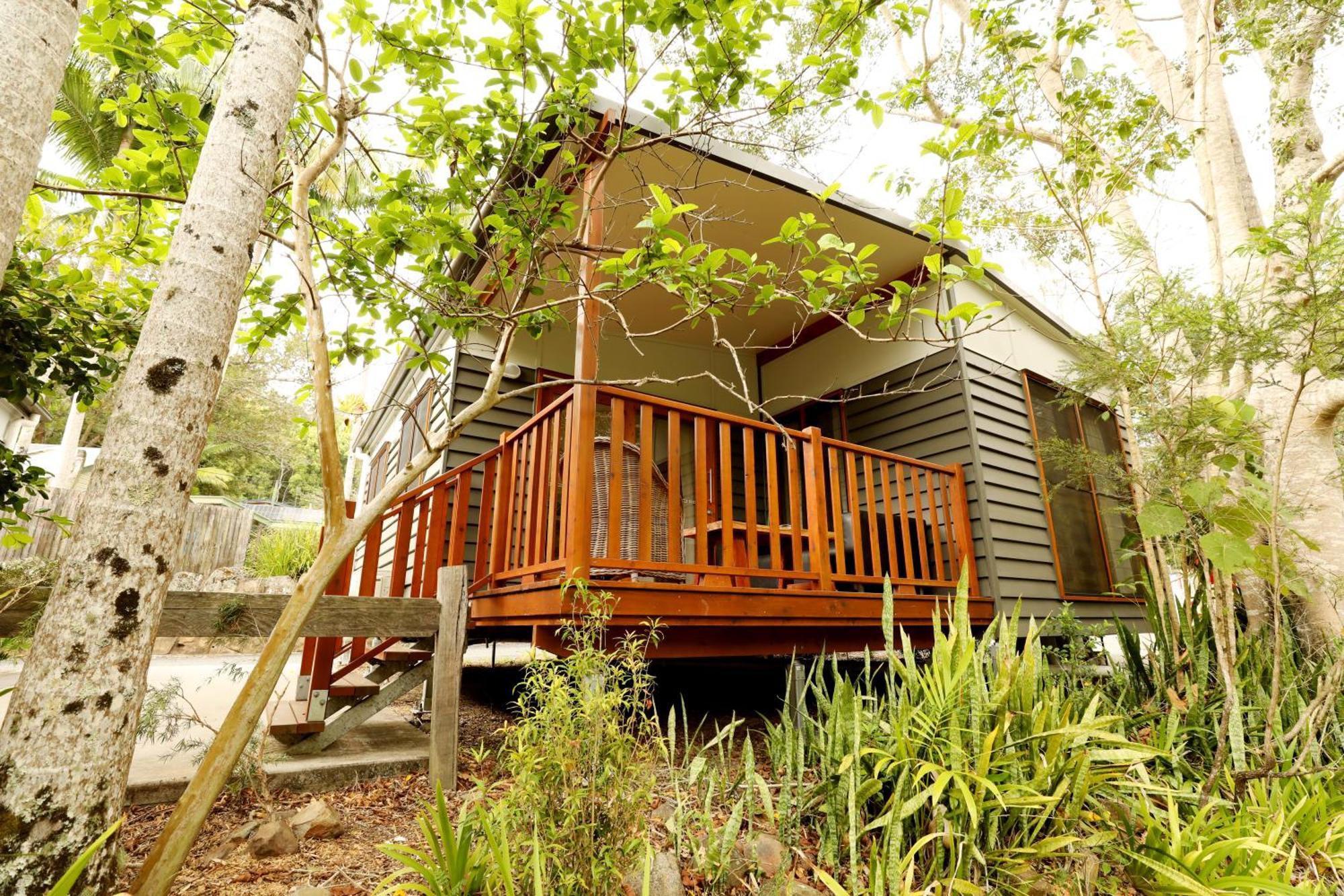 Mt Warning Rainforest Park Campsite